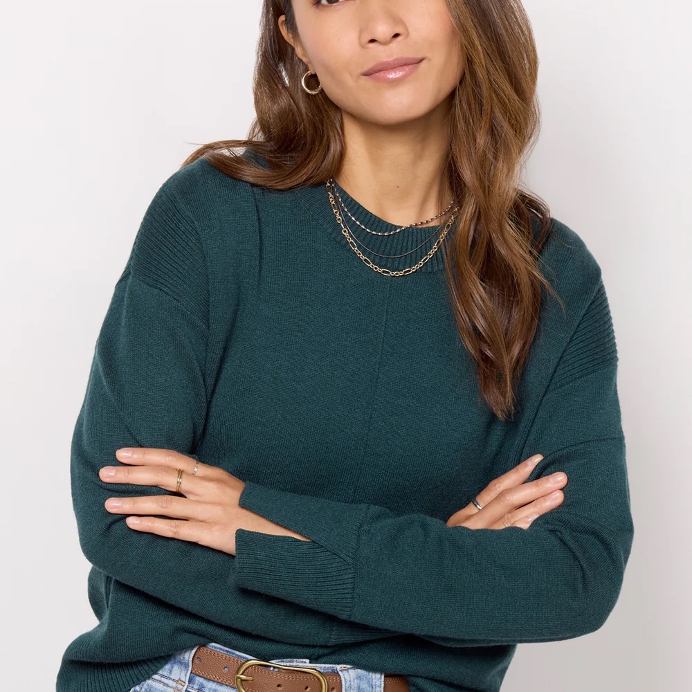 Evereve Rory Pullover NWT